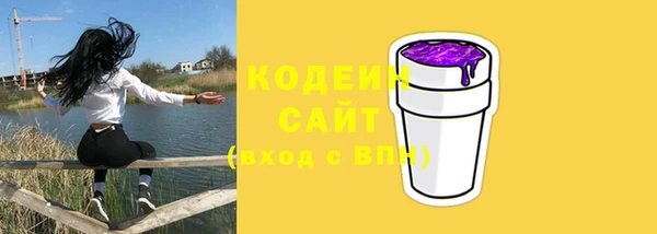 шишки Балахна