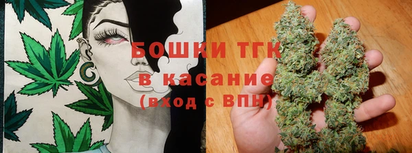 шишки Балахна