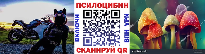 гидра ССЫЛКА  Судак  Псилоцибиновые грибы ЛСД 